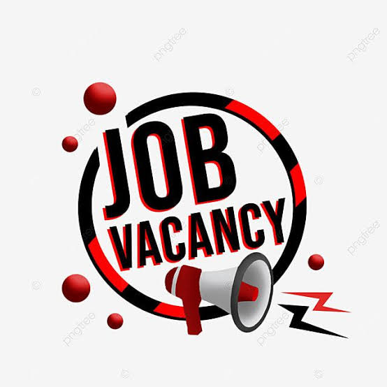 Vision Pvt Ltd